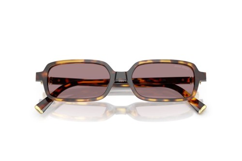 MIU MIU - Sunglasses - MU 11ZS - 14L20I - 51