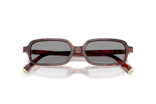 MIU MIU - Sunglasses - MU 11ZS - 21C40O - 51