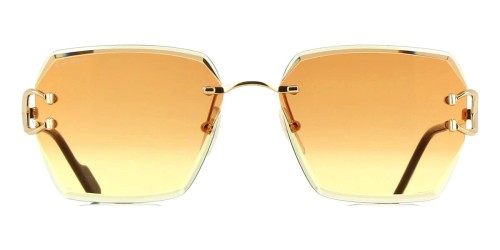 Cartier - Sunglasses - CT0466S - 004 - 58
