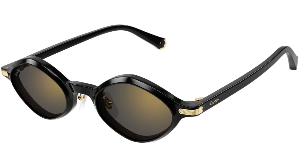Cartier - Sunglasses - CT0540S - 001 - 48