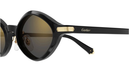 Cartier - Sunglasses - CT0540S - 001 - 48