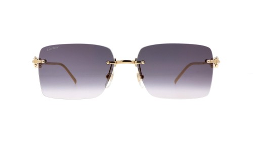 Cartier - Sunglasses - CT0545S Clash de Cartier - 001 - 58