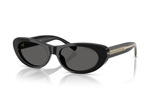TIFFANY & CO. - Sunglasses - TF4236U - 8001S4 - 55