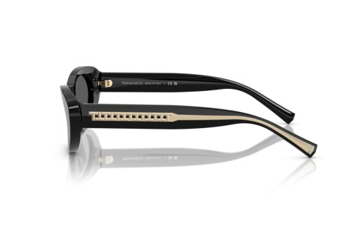 TIFFANY & CO. - Sunglasses - TF4236U - 8001S4 - 55