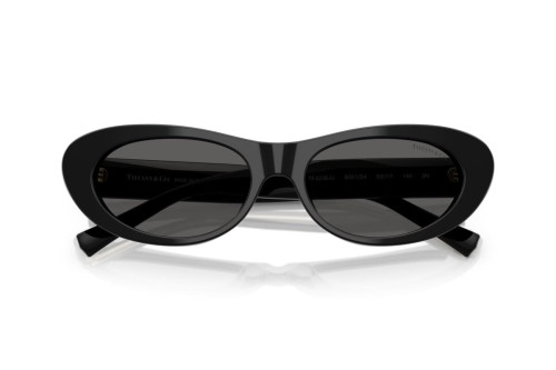 TIFFANY & CO. - Sunglasses - TF4236U - 8001S4 - 55