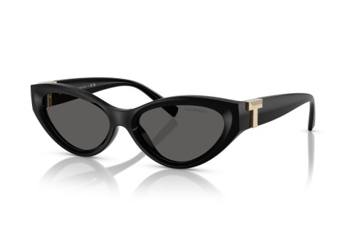 Tiffany & Co. - Sunglasses - TF4225U - 8001S4 - 54