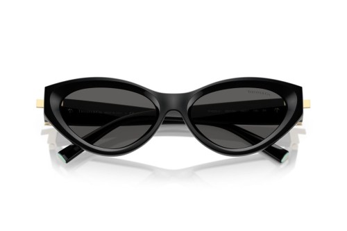 Tiffany & Co. - Sunglasses - TF4225U - 8001S4 - 54