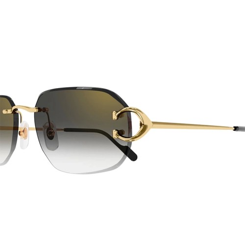 Cartier - Sunglasses - CT0468S - 001 - 58