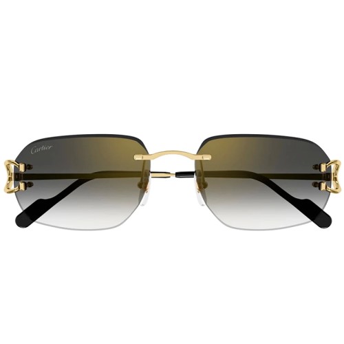 Cartier - Sunglasses - CT0468S - 001 - 58