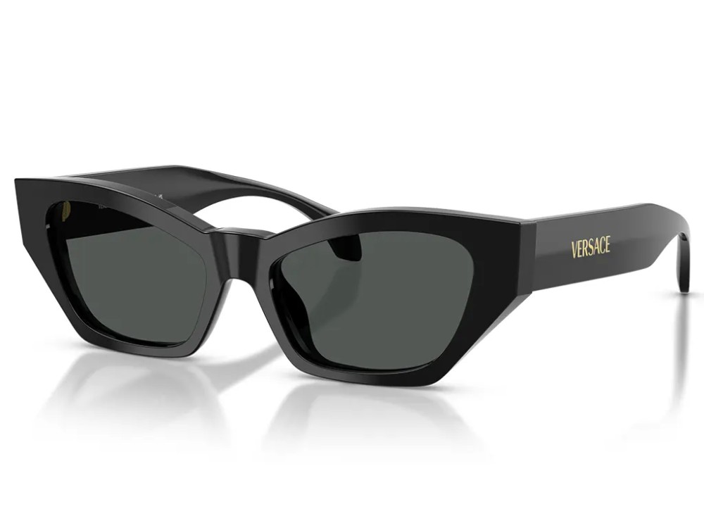 VERSACE - Sunglasses - VE4488U - ​GB1/87 - ​53