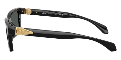 VERSACE - Sunglasses - VE4490U - ​GB1/87 - ​55