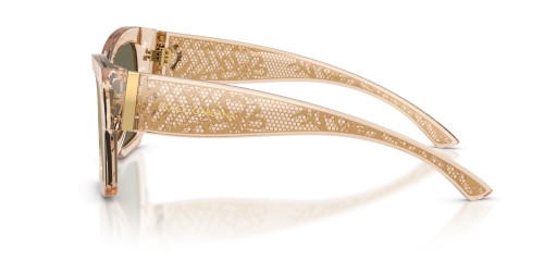 DOLCE & GABBANA - Sunglasses - DG4493 - ​343203 - ​55