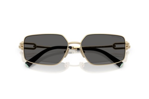 TIFFANY & CO. - Sunglasses - TF3111 - 6021S4 - 58
