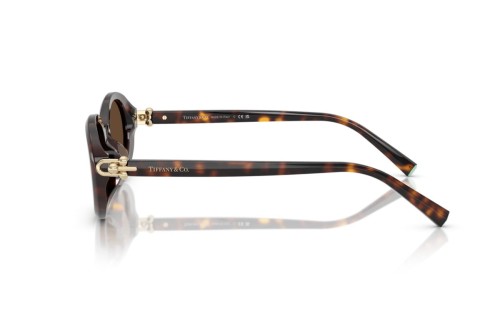 Tiffany & Co. - Sunglasses - TF4242D - 80153G - 54