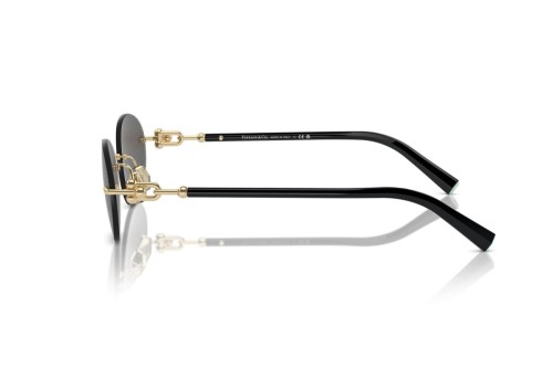 TIFFANY & CO. - Sunglasses - TF3104D - 6216S4 - 56