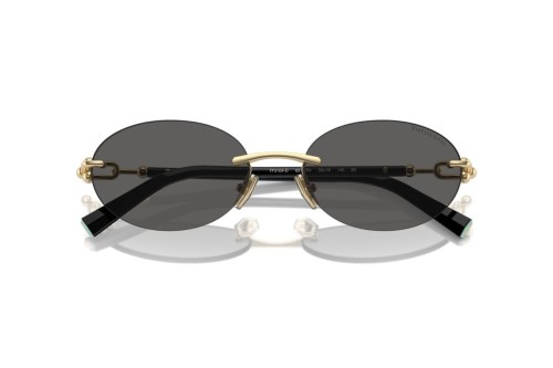 TIFFANY & CO. - Sunglasses - TF3104D - 6216S4 - 56