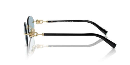 TIFFANY & CO. - Sunglasses - TF3104D - 602180 - 56