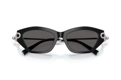 TIFFANY & CO. - Sunglasses - TF4231U - 8055S4 - 53