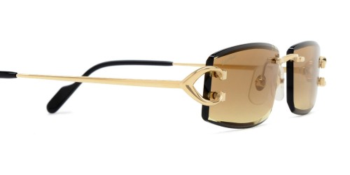 Cartier - Sunglasses - CT0465S - 004 - 56