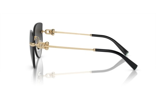 TIFFANY & CO. - Sunglasses - TF3096 - 60213C - 60