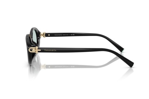 TIFFANY & CO. - Sunglasses - TF4242D - 8001D9 - 54