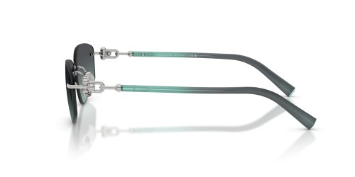 TIFFANY & CO. - Sunglasses - TF3114 - 60012G - 59