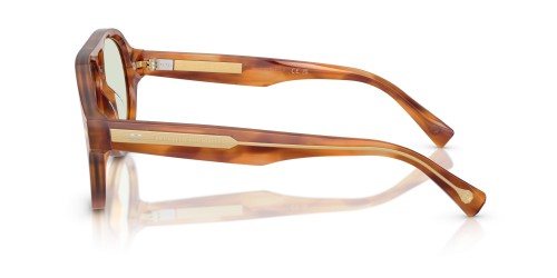 BRUNELLO CUCINELLI - Sunglasses - BC4017S - 102221 - 57 - WITH TRANSITIONS LENSES