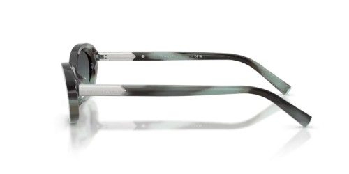 TIFFANY & CO. - Sunglasses - TF4250 - 84432G - 56