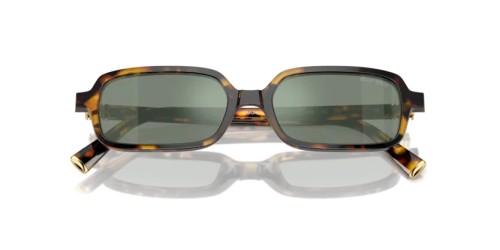 MIU MIU - Sunglasses - MU 11ZS - VAU04M - 51