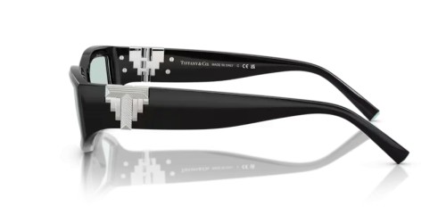 TIFFANY & CO. - Sunglasses - TF4234U - 8001D9 - 55