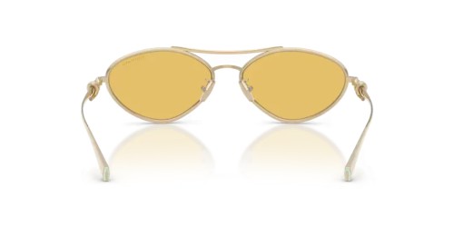 TIFFANY & CO. - Sunglasses - TF3117 - 623685 - 58