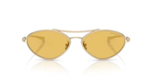 TIFFANY & CO. - Sunglasses - TF3117 - 623685 - 58