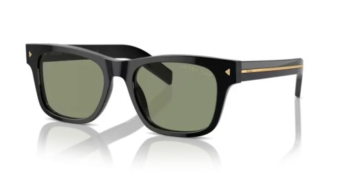 PR A17S - 16K20G - 54 - WITH POLARIZED LENSES