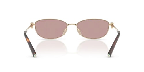 TIFFANY & CO. - Sunglasses - TF3115 - 6189VS - 56