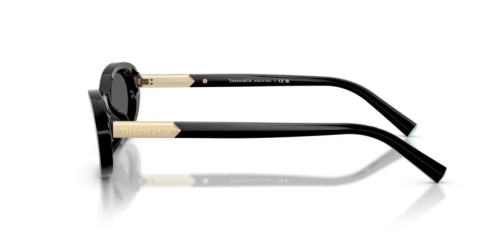 TIFFANY & CO. - Sunglasses - TF4250 - 8001S4 - 56