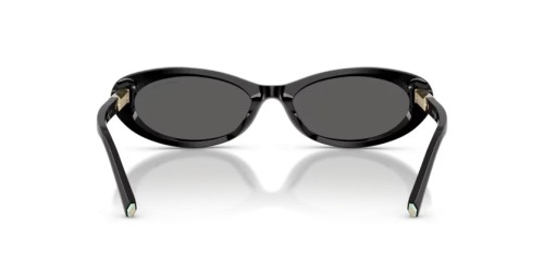TIFFANY & CO. - Sunglasses - TF4250 - 8001S4 - 56