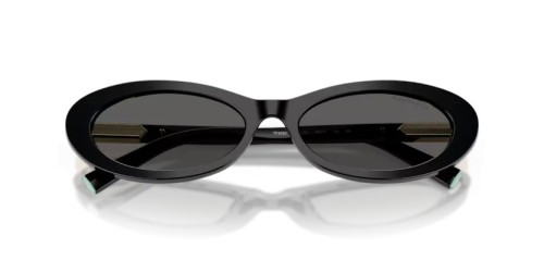 TIFFANY & CO. - Sunglasses - TF4250 - 8001S4 - 56