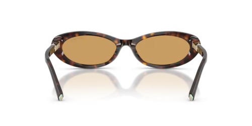 TIFFANY & CO. - Sunglasses - TF4250 - 801574 - 56