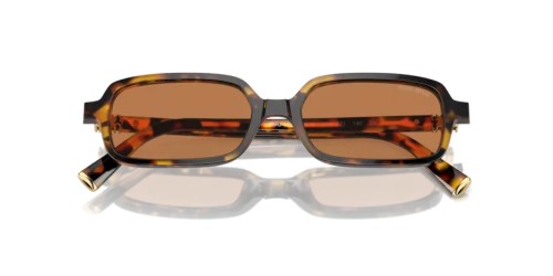 MIU MIU - Sunglasses - MU 11ZS - VAU2Z1 - 51