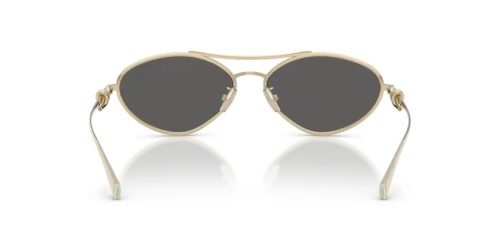 TIFFANY & CO. - Sunglasses - TF3117 60012G 58 - 6021S4 - 58