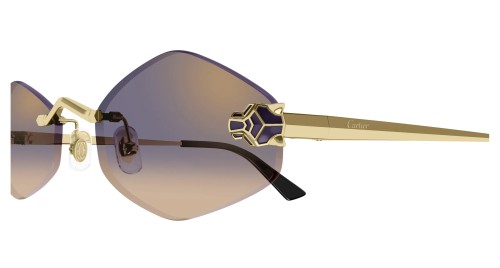 Cartier - Sunglasses - CT0433S - 005 - 55