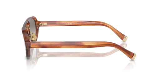 BRUNELLO CUCINELLI - Sunglasses - BC4008S - 102232 - 56