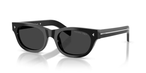 PR C09S - 16K08G - 51 - WITH POLARIZED LENSES