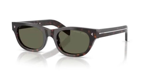 PR C09S - 17N03R - 51 - WITH POLARIZED LENSES