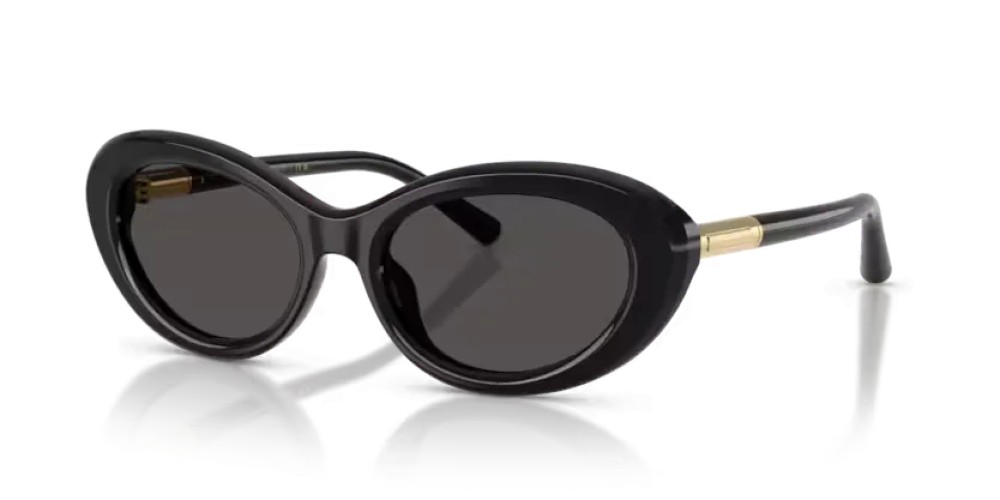 DOLCE & GABBANA - Sunglasses - DG4519 - 501/87 - 54