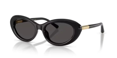 DOLCE & GABBANA - Sunglasses - DG4519 - 501/87 - 54