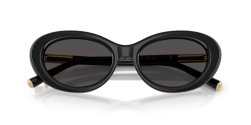 DOLCE & GABBANA - Sunglasses - DG4519 - 501/87 - 54