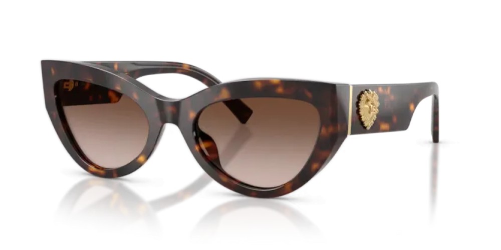 DOLCE & GABBANA - Sunglasses - DG4536 - 502/13 - 55