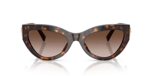 DOLCE & GABBANA - Sunglasses - DG4536 - 502/13 - 55