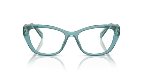 PRADA - Optical frames - PR 19WV - 16J1O1 - 53
